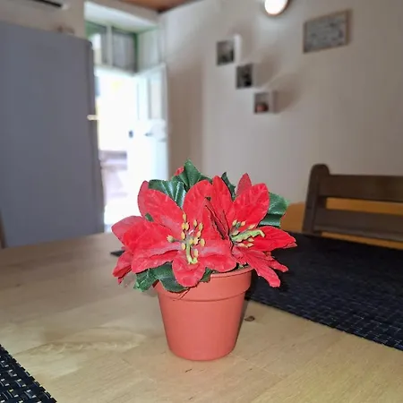Appartamento Bentivegna 7 *